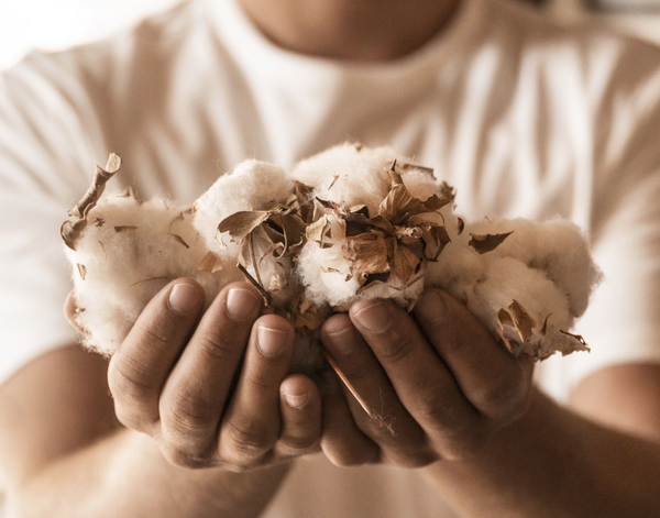 Well Worn Organic Tee