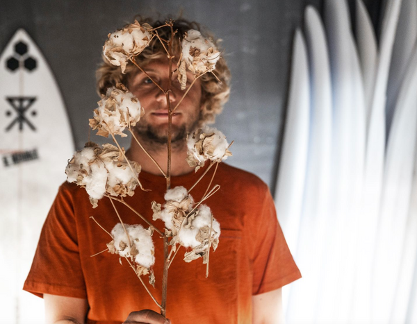 Well Worn Organic Tee