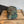 VTG Round Rock Muffler & Automotive Camo Hat - #029