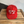 VTG Kenny's Super Valu Tractor Pull Hat - #034