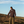 Field Trouser