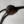 VTG Aztec Leather Bolo Tie
