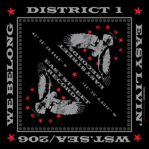 District 1 Bandana