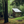 Cabin Porn
