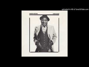 Muddy Waters - Hard Again 77'